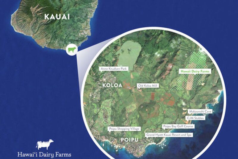 Hawaii_Dairy_Farm