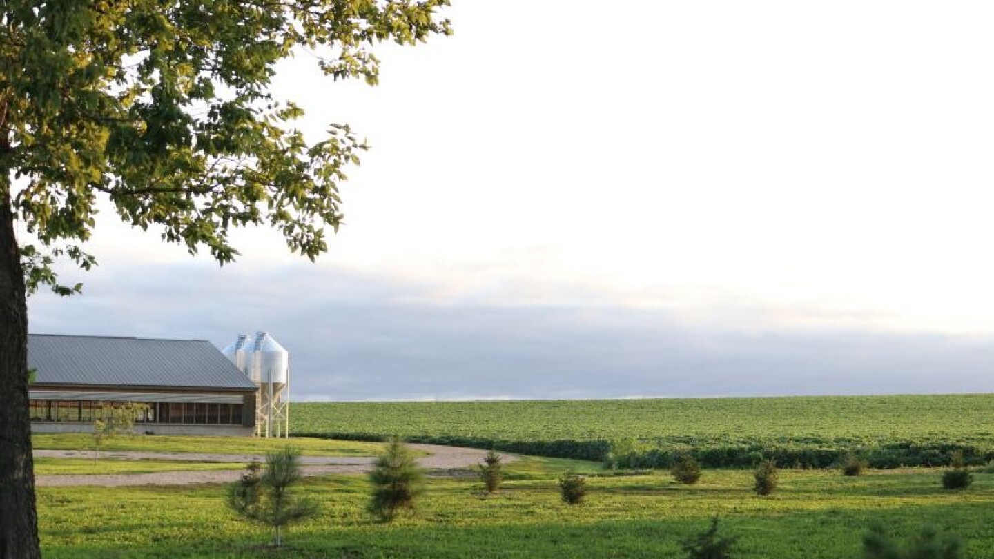 NutriQuest Analysis: Weaner Pig Breakeven at $22.10, Down $4.58 From Last Week