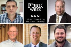 Economists PORK Week