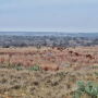 San Pedro Ranch