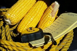 Tools of the Crop Tour Trade