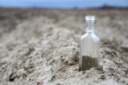 BOTTLE-BEAL