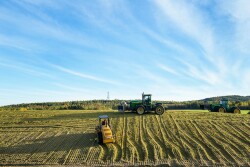 Silage Pile_Tracey Buyce