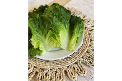 deli leaf