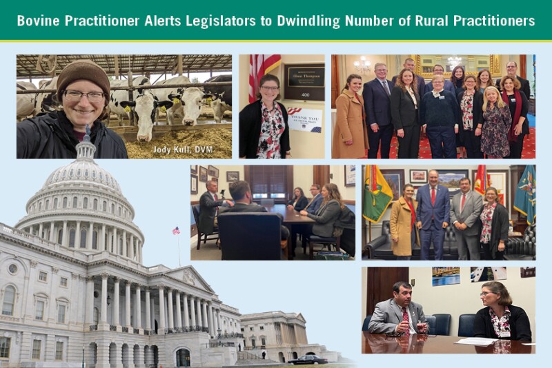 Jody Kull discusses vet shortage with legislators
