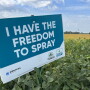 Enlist soybeans 