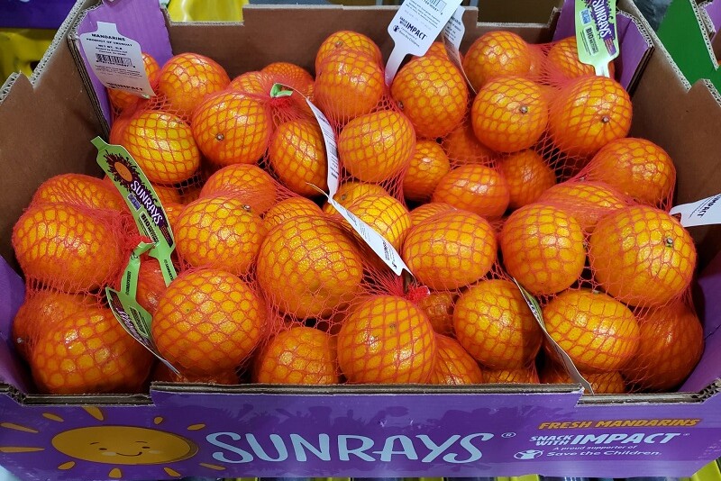 Sunrays eco