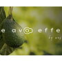 The-Avo-Effect-MAIN1-small.jpg