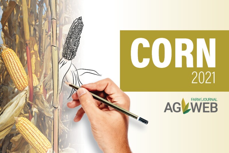 Corn 2021 Outlook 