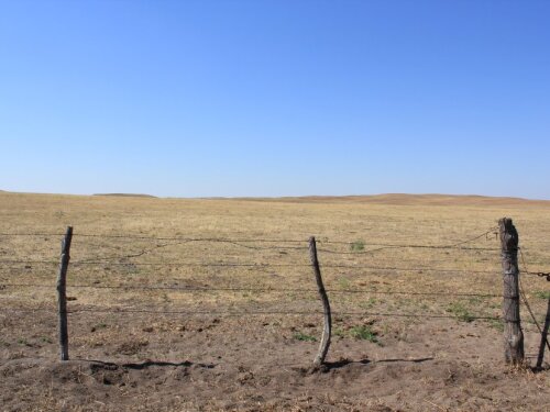 While stolen cattle headlines surface occasionally, cattle rustling is far from simply being a part of Wild West history. 
