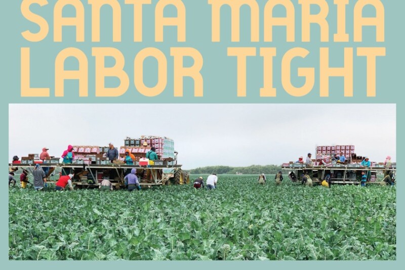 santa maria header (2).jpg