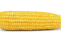 B7C11D03-0529-4502-9F573D0678B2E481.png
