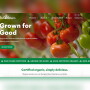 Image of Wholesum's revamped website