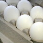 Are eggs really the problem with the development of heart disease?