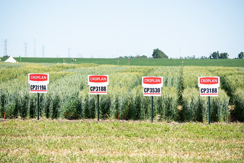 The Wilton, North Dakota site consolidates and elevates the opportunities for diversified field crop research which had been previously scattered and in smaller scale. 