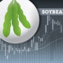 2022 Markets Soybeans