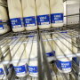 Bloomberg_Milk