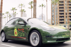 Tesla car with avocado on it