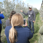 Neal Carter, founder and president of Okanagan Specialty Fruit, leads bloggers and produce media on a tour of an orchard of Arctic apples in October.