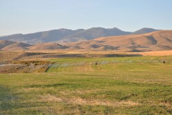 Muleshoe Ranch ID