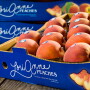 LA peaches