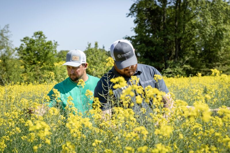 people in canola field.jpeg