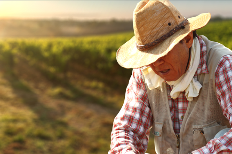 Generic image of farm worker