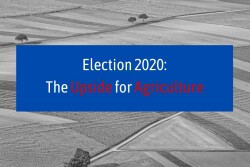 Regardless of the election outcome, Pro Farmer’s Jim Wiesemeyer and Farm Journal’s John Herath say there are potential positives and negatives for agriculture in either a Trump or Biden presidency.