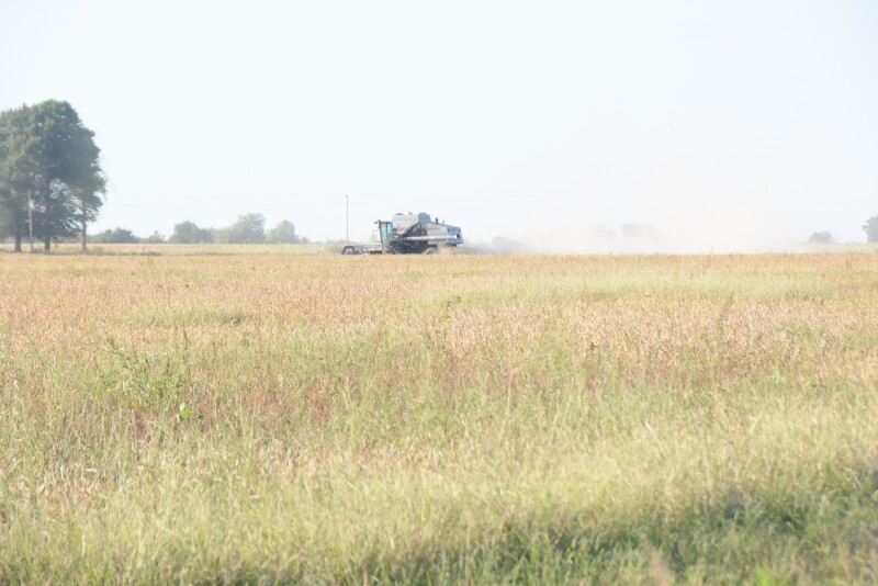 Soybean yields in Minnesota are up nearly 3% due to a changing climate, estimates the University of Minnesota.