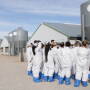 Seaboard Foods Winternship at a Swine Farm