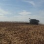 i_80_harvest_eastern_iowa.jpg