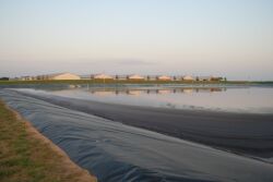 Lagoon manure management
