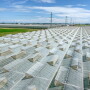 nff farms