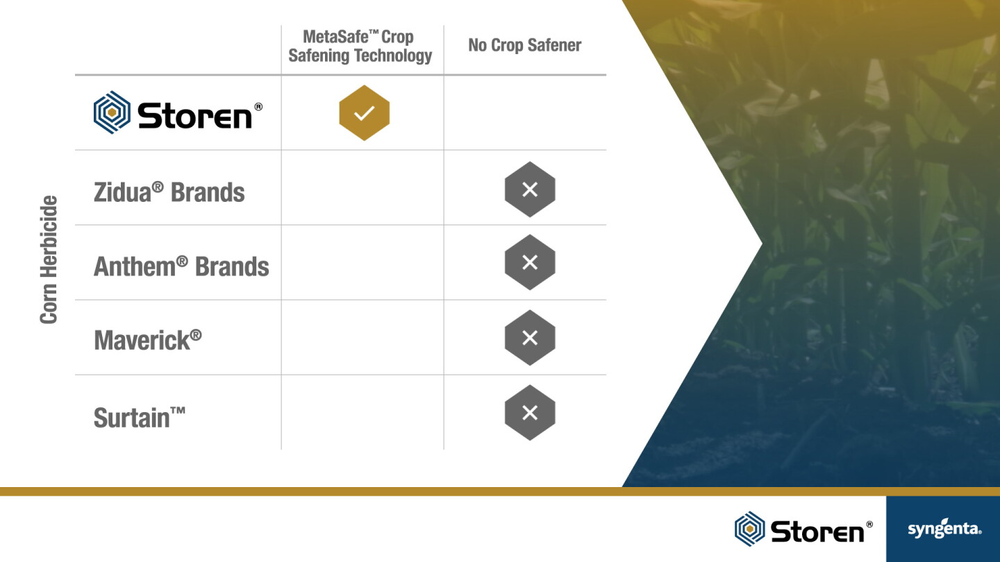 Metasafe The (Un)Hidden Risks of Corn Crop Injury - AgWeb