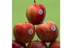 FE57F43A-0AE2-4956-A8E101144A0AA969.png