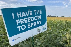Enlist soybeans 