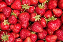 strawberries