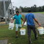 Delivering feed by the bucketful in Sampson County, North Carolina.