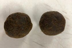 Cow Dung Cakes