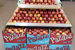 retail display of Pazzazz apples