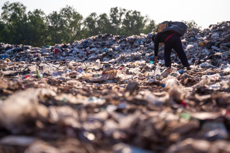 Food waste
