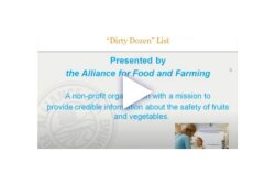 dirty dozen