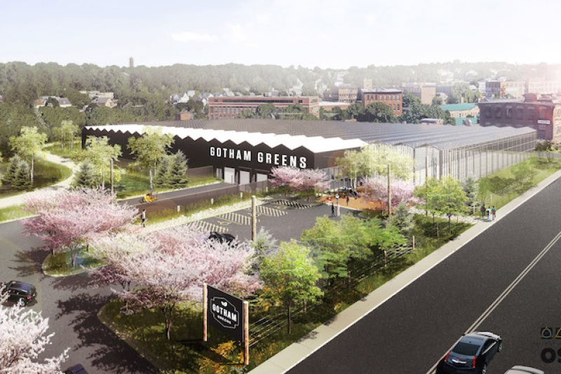 The Gotham Greens greenhouse coming to Providence, R.I., is depicted in a rendering.