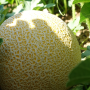 9A02B550-58CF-459C-89AC33F65E87A548.png