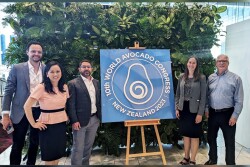 Hass Avocado Board leadership presented at the 10th World Avocado Congress in New Zealand.