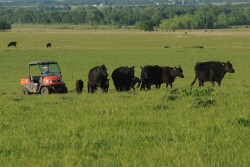 Be safe on the farm and ranch. Reports by the U.S. Consumer Product Safety Commission report that Memorial Day weekend is the peak time for emergency room visits associated with ATV and UTV usage. 

