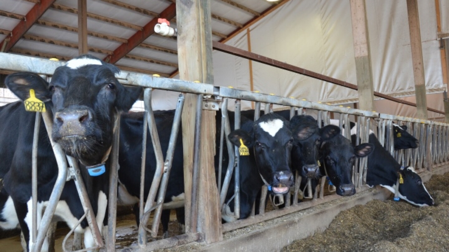Complete Long Day Lighting System to be Showcased During Farm Tour ...