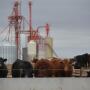 Feedyard closeouts were modestly profitable.