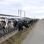 “What do farmers want? They want trade. Nobody wants a payment,” Ford said. “If they have to have an interim payment, they would like something more reflecting the loss in the market that hit them.”