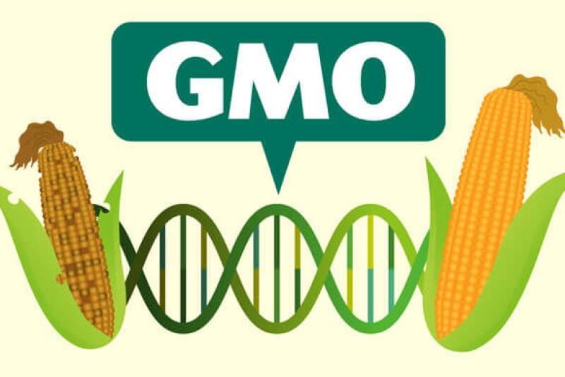 Alternative meats are often made with GMOs.